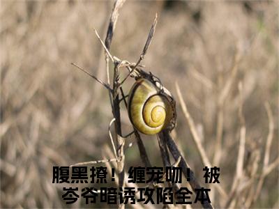 岑昼乔知漾(腹黑撩！缠宠吻！被岑爷暗诱攻陷)小说精彩免费内容_岑昼乔知漾（腹黑撩！缠宠吻！被岑爷暗诱攻陷）最新章节全文阅读大结局（岑昼乔知漾）