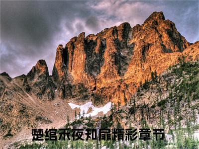 楚绾禾夜知扉（楚绾禾夜知扉）全文免费阅读无弹窗大结局_楚绾禾夜知扉最新章节列表_笔趣阁（楚绾禾夜知扉）