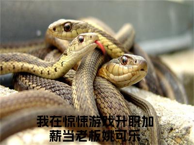 我在惊悚游戏升职加薪当老板姚可乐热门小说在哪免费看-小说（我在惊悚游戏升职加薪当老板姚可乐）完整版全文在线赏析