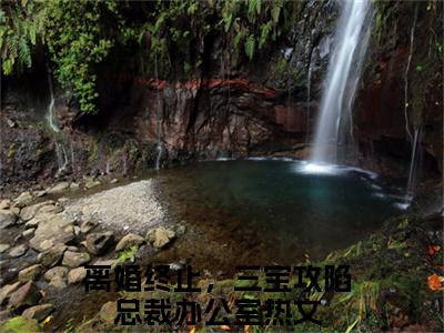 离婚终止，三宝攻陷总裁办公室（厉冥沉沈梨梦）全文免费阅读-（离婚终止，三宝攻陷总裁办公室）厉冥沉沈梨梦最新章节小说阅读-笔趣阁