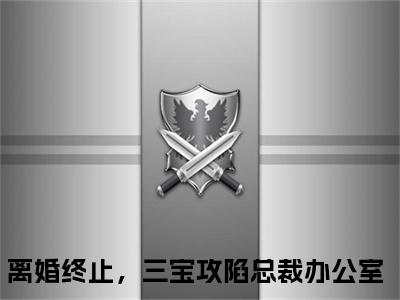 离婚终止，三宝攻陷总裁办公室的小说免费阅读（厉冥沉沈梨梦小说免费阅读）全文免费阅读大结局-厉冥沉沈梨梦热门榜单好书推荐