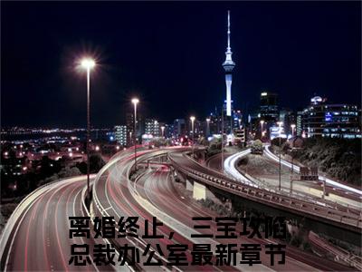 厉冥沉沈梨梦多人追热门小说 离婚终止，三宝攻陷总裁办公室最新章节免费阅读