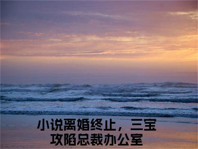 厉冥沉沈梨梦（离婚终止，三宝攻陷总裁办公室）小说多人阅读-小说离婚终止，三宝攻陷总裁办公室在哪里看免费