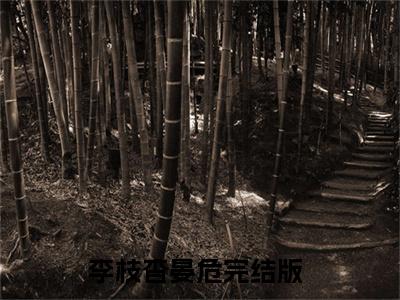 小说全文免费阅读无弹窗大结局_（李枝杳晏危）全文在线阅读