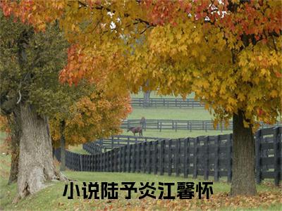陆予炎江馨怀（陆予炎江馨怀）全文免费阅读大结局-（陆予炎江馨怀）最新章节阅读