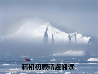 林初初顾靖煜小说(林初初顾靖煜)全文免费阅读无弹窗大结局 林初初顾靖煜小说全文无删减版