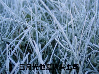 白月光他是顶头上司最新章节（颜念周然小说）全文免费阅读无弹窗大结局_颜念周然小说免费阅读（白月光他是顶头上司）