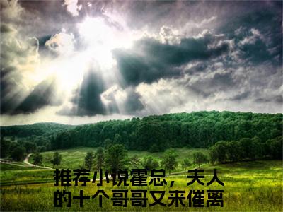 霍总，夫人的十个哥哥又来催离婚了（赵西西霍寒徽）未删减-霍总，夫人的十个哥哥又来催离婚了完结版阅读地址