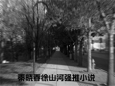 秦晓春徐山河全网首发小说，秦晓春徐山河全文免费阅读
