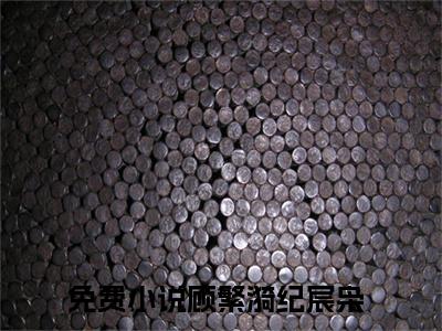 顾繁漪纪宸枭小说大结局免费阅读-（顾繁漪纪宸枭）抖音新上热文分享顾繁漪纪宸枭