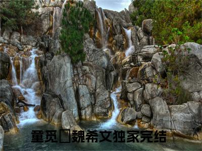 童觅玥魏希文（童觅玥魏希文)小说免费阅读在线阅读_童觅玥魏希文全文免费阅读_笔趣阁