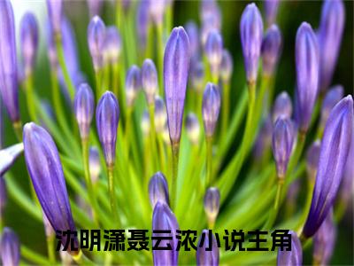 沈明潇聂云浓全文免费阅读无弹窗大结局，沈明潇聂云浓小说精彩免费试读