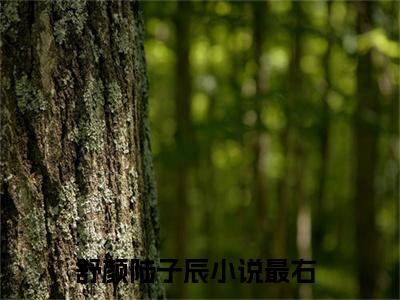 舒颜陆子辰全文小说（舒颜陆子辰）-完结版热文舒颜陆子辰小说免费阅读