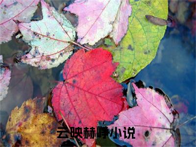 云映赫峥（云映赫峥最新全章节大结局）全文阅读