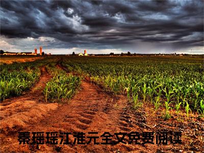 七零养崽，末世女王与首长互撩（秦瑶瑶江淮元）全文免费阅读无弹窗大结局_（秦瑶瑶江淮元）最新章节