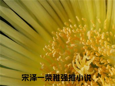 宋泽一荣稚（宋泽一荣稚）在线阅读大结局-宋泽一荣稚小说最新章节阅读-笔趣阁