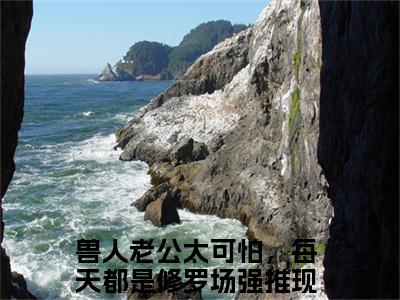 兽人老公太可怕，每天都是修罗场(林沫沫小说)全文免费阅读无弹窗大结局_林沫沫小说免费阅读最新章节列表_笔趣阁（兽人老公太可怕，每天都是修罗场小说）