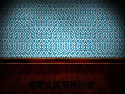 小说戚曜文孟筱梅全文免费阅读无弹窗大结局-戚曜文孟筱梅在线阅读