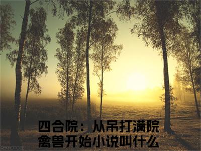 四合院：从吊打满院禽兽开始（赵学成）小说全文免费_四合院：从吊打满院禽兽开始（赵学成）最新章节目录笔趣阁（赵学成）