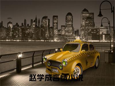 主角叫赵学成的小说-（四合院：从吊打满院禽兽开始）赵学成全文无弹窗完整版阅读