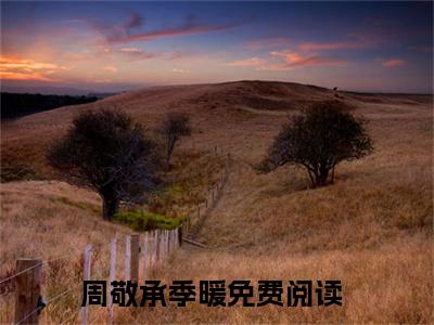 周敬承季暖（周敬承季暖）全文在线阅读无弹窗大结局_(周敬承季暖免费阅读全文大结局)最新章节列表_笔趣阁