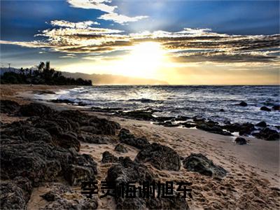 李灵梅谢旭东（李灵梅谢旭东）全文免费阅读（李灵梅谢旭东）小说无弹窗阅读