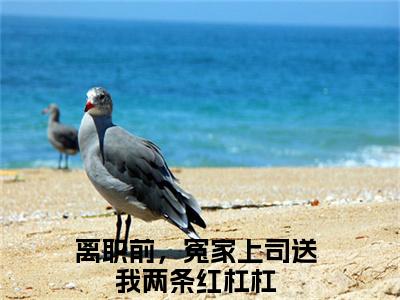 谈信赫翁惜雾（离职前，冤家上司送我两条红杠杠大结局小说全集完整版）_（离职前，冤家上司送我两条红杠杠小说）谈信赫翁惜雾全文阅读笔趣阁