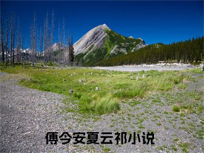傅今安夏云祁（傅今安夏云祁）全文免费阅读无弹窗大结局_傅今安夏云祁小说在线阅读全文最新章节列表_笔趣阁（傅今安夏云祁）