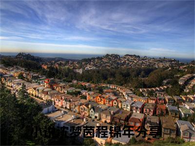 沈梦茵程锦年在线阅读（沈梦茵程锦年）全文免费阅读无弹窗大结局_沈梦茵程锦年免费最新章节列表_笔趣阁