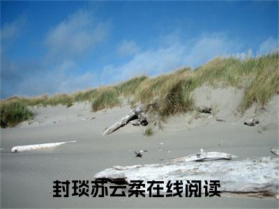 封琰苏云柔免费阅读（封琰苏云柔）完整版全文全章节阅读