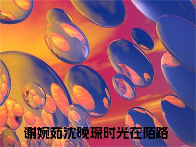时光在陌路（谢婉茹沈晚琛）全文免费阅读无弹窗大结局_时光在陌路（谢婉茹沈晚琛小说免费阅读）_笔趣阁