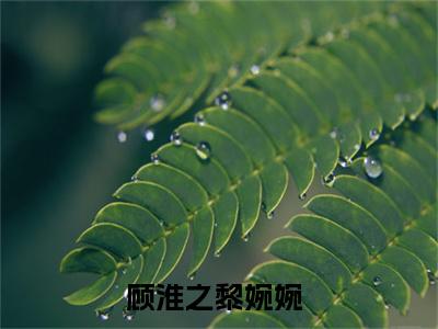 顾淮之黎婉婉(顾淮之黎婉婉)全文免费阅读无弹窗大结局_顾淮之黎婉婉全文免费阅读最新章节列表_笔趣阁（顾淮之黎婉婉）