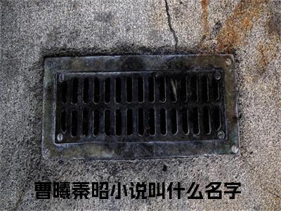 主角是曹曦秦昭的小说（穿越捡来的相公五岁半）-（穿越捡来的相公五岁半）曹曦秦昭全文免费阅读无弹窗大结局笔趣阁