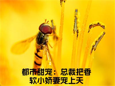 都市甜宠：总裁把香软小娇妻宠上天在线阅读（温舒席凛）全文免费阅读大结局_都市甜宠：总裁把香软小娇妻宠上天免费最新章节列表_笔趣阁