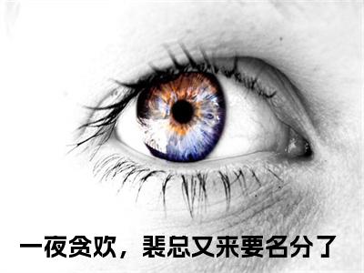 一夜贪欢，裴总又来要名分了(云锦书裴时砚)全文在线阅读无弹窗大结局_云锦书裴时砚全文无弹窗最新章节列表_笔趣阁
