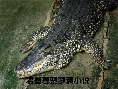 君墨寒楚梦漓全网首发完整小说主角君墨寒楚梦漓在线阅读