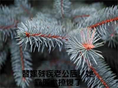 战浩辰夏佩佩全文免费阅读_（替嫁残疾老公后，她靠医术撩爆了免费阅读无弹窗）战浩辰夏佩佩最新章节列表笔趣阁（替嫁残疾老公后，她靠医术撩爆了）