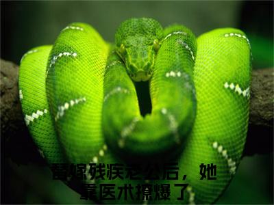 替嫁残疾老公后，她靠医术撩爆了小说全文免费阅读-（战浩辰夏佩佩）替嫁残疾老公后，她靠医术撩爆了精选小说大结局阅读