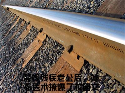 替嫁残疾老公后，她靠医术撩爆了（完整版）热文小说阅读-替嫁残疾老公后，她靠医术撩爆了全文抖音热推