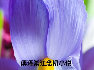 傅泽希江念初老书虫推荐小说 傅泽希江念初热门小说最新章节阅读