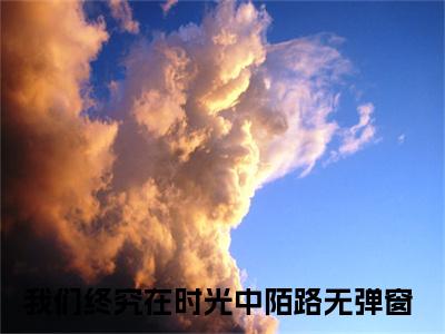 我们终究在时光中陌路谢婉茹沈晚琛免费阅读大结局无弹窗-我们终究在时光中陌路小说推荐谢婉茹沈晚琛精彩章节在线阅读