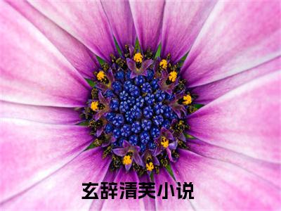 玄辞清芙（玄辞清芙）全文免费阅读-玄辞清芙最新章节小说阅读-笔趣阁