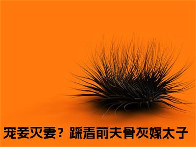 （宠妾灭妻？踩着前夫骨灰嫁太子）全文免费阅读-宠妾灭妻？踩着前夫骨灰嫁太子（盛清欢楚誉风）最新章节列表阅读
