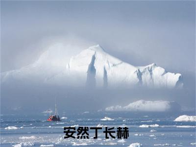 新娘惨被抛弃，怎料肚中已有娃（安然丁长赫）全文阅读_小说新娘惨被抛弃，怎料肚中已有娃免费阅读（安然丁长赫）笔趣阁