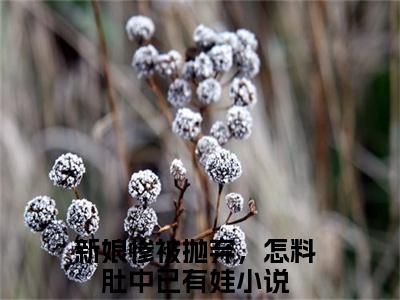新娘惨被抛弃，怎料肚中已有娃小说（安然丁长赫）全文免费阅读无弹窗_新娘惨被抛弃，怎料肚中已有娃小说最新章节免费阅读_笔趣阁（安然丁长赫）