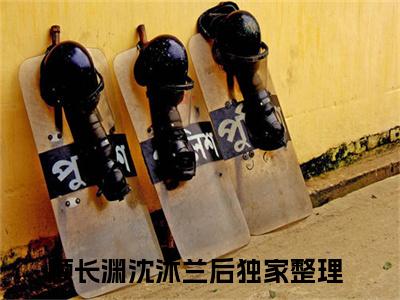 敛绪怀芳倚玉楼小说精彩章节今日阅读更新-（顾长渊沈沐兰后小说）免费阅读小说全文