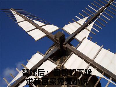洛西凌秋寒（替嫁后：哥哥们下跪求我回家）全文免费阅读无弹窗完整版，(洛西凌秋寒)免费阅读全文最新章节列表_笔趣阁
