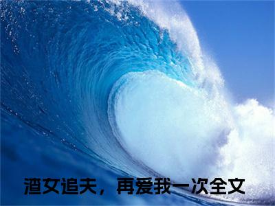 宫星辰沈景言小说（渣女追夫，再爱我一次)全文免费阅读无弹窗大结局_宫星辰沈景言完整版最新阅读_笔趣阁（渣女追夫，再爱我一次）