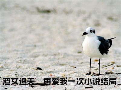 宫星辰沈景言（渣女追夫，再爱我一次）全文免费阅读无弹窗-渣女追夫，再爱我一次完整版全文在线赏析