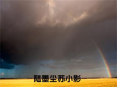 陆墨尘苏小影全文免费阅读_（你不要过来，我们是假结婚免费阅读无弹窗）陆墨尘苏小影最新章节列表笔趣阁